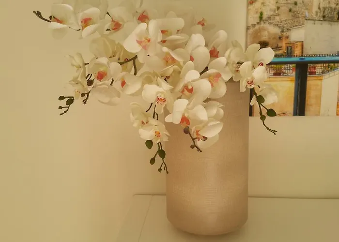 Prázdninový dům Pitagora